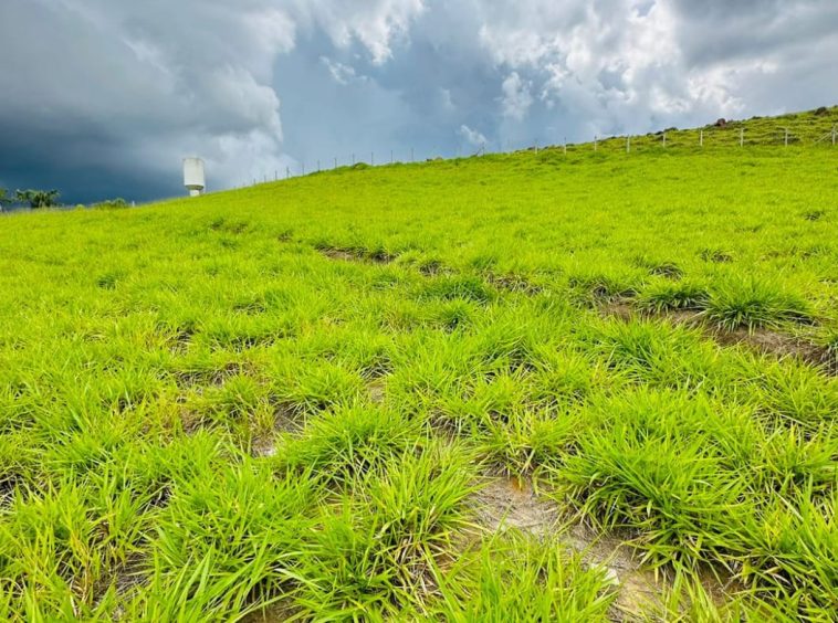 Terreno em Condomínio em Guararema - Bairro Itaoca - 03