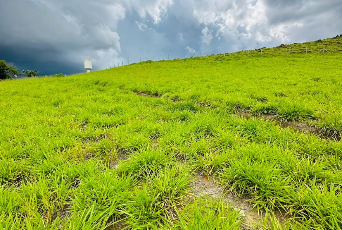 Terreno em Condomínio em Guararema - Bairro Itaoca - 03
