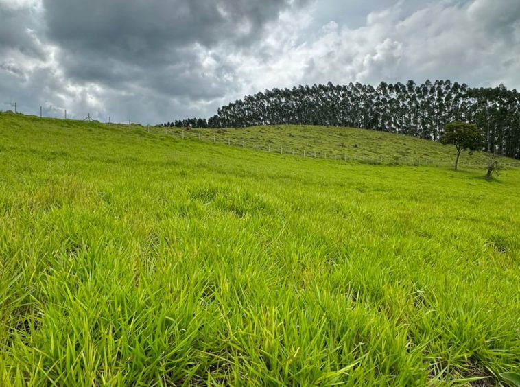 Terreno em Condomínio em Guararema - Bairro Itaoca - 04