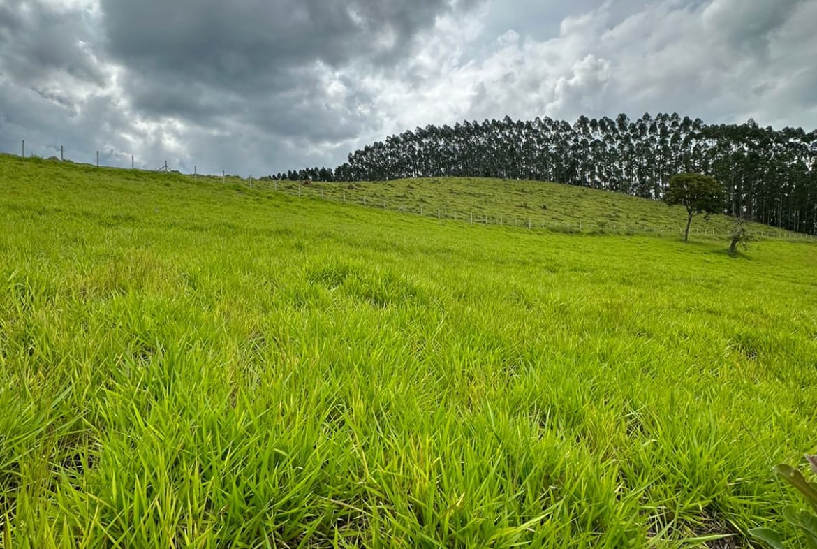 Terreno em Condomínio em Guararema - Bairro Itaoca - 04