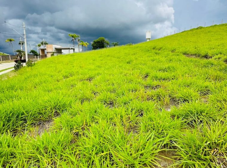Terreno em Condomínio em Guararema - Bairro Itaoca - 02