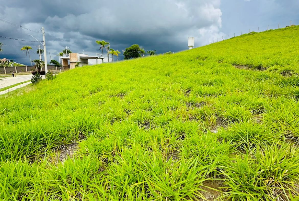 Terreno em Condomínio em Guararema - Bairro Itaoca - 02