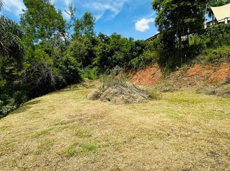 Sítio em Guararema - Serra Itapeti - 07