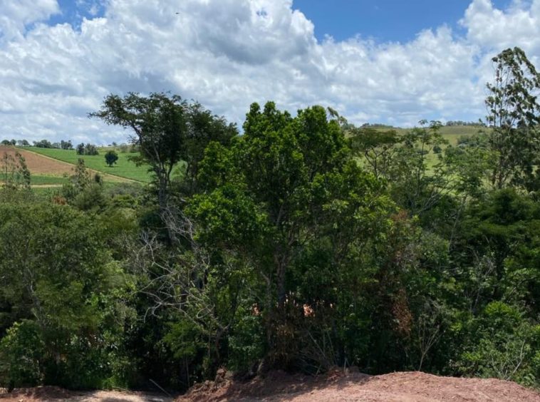 Terreno em Santa Branca - 07
