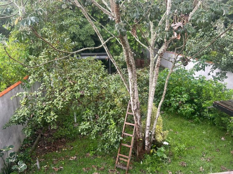 Sobrado em Área Nobre do Centro de Guararema - 10