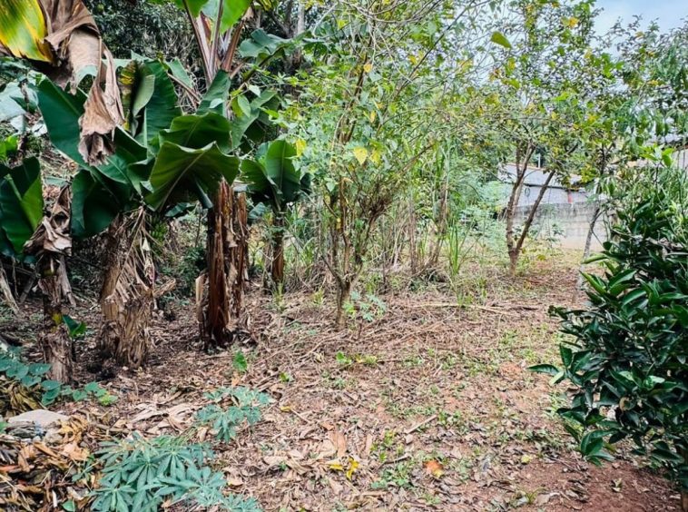 Terreno com Construção Simples - Oportunidade para Investidores - 11