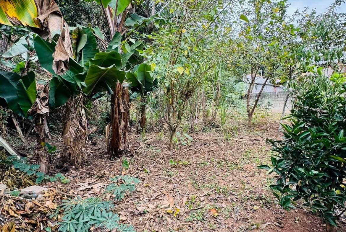 Terreno com Construção Simples - Oportunidade para Investidores - 11