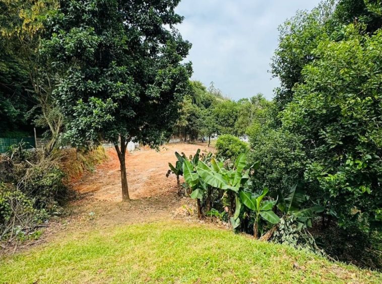 Terreno com Construção Simples - Oportunidade para Investidores - 05