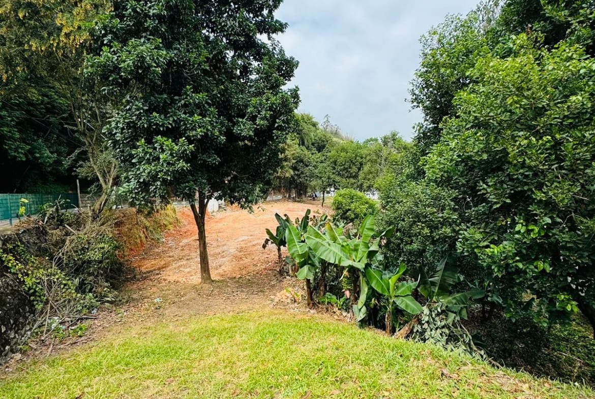 Terreno com Construção Simples - Oportunidade para Investidores - 05